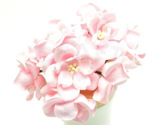 Magnolie pastelowe różowe (IAR) 10szt