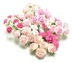 Różowe róże otwarte mix odcieni różu