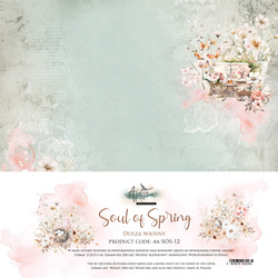 Zestaw papierów Soul of Spring 15x15cm